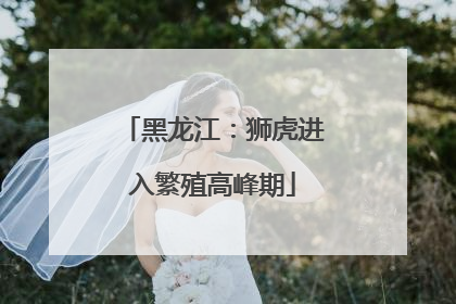 黑龙江：狮虎进入繁殖高峰期