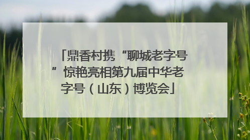 鼎香村携“聊城老字号”惊艳亮相第九届中华老字号（山东）博览会