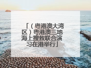 （粤港澳大湾区）粤港澳三地海上搜救联合演习在港举行