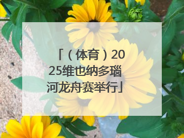 （体育）2025维也纳多瑙河龙舟赛举行