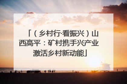 （乡村行·看振兴）山西高平：矿村携手兴产业 激活乡村新动能