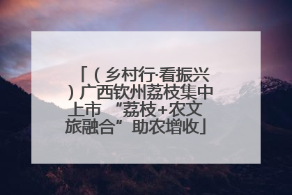 （乡村行·看振兴）广西钦州荔枝集中上市 “荔枝+农文旅融合”助农增收