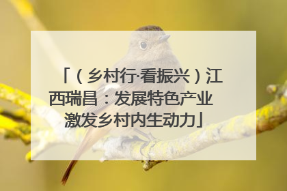 （乡村行·看振兴）江西瑞昌：发展特色产业 激发乡村内生动力