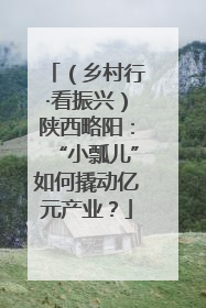 （乡村行·看振兴）陕西略阳：“小瓢儿”如何撬动亿元产业？