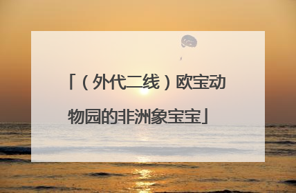 （外代二线）欧宝动物园的非洲象宝宝