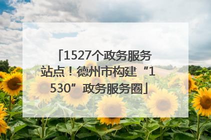1527个政务服务站点！德州市构建“1530”政务服务圈
