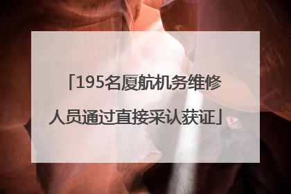 195名厦航机务维修人员通过直接采认获证