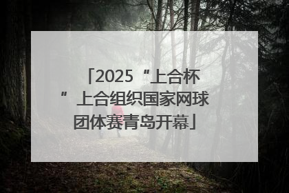 2025“上合杯”上合组织国家网球团体赛青岛开幕