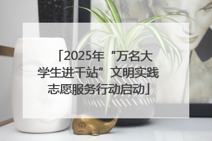 2025年“万名大学生进千站”文明实践志愿服务行动启动
