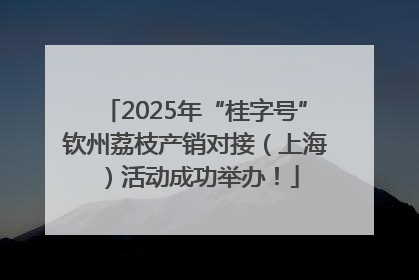2025年“桂字号”钦州荔枝产销对接（上海）活动成功举办！