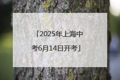 2025年上海中考6月14日开考