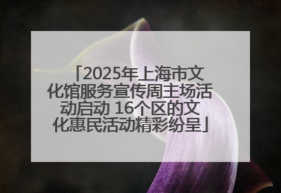 2025年上海市文化馆服务宣传周主场活动启动 16个区的文化惠民活动精彩纷呈