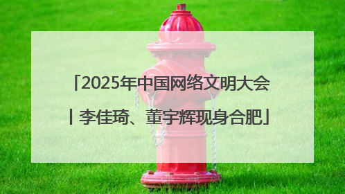 2025年中国网络文明大会丨李佳琦、董宇辉现身合肥