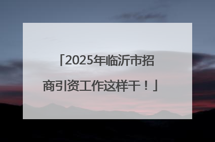 2025年临沂市招商引资工作这样干！