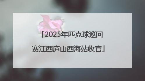 2025年匹克球巡回赛江西庐山西海站收官