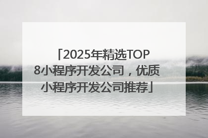 2025年精选TOP8小程序开发公司，优质小程序开发公司推荐