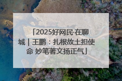 2025好网民·在聊城｜王鹏：扎根故土担使命 妙笔著文扬正气