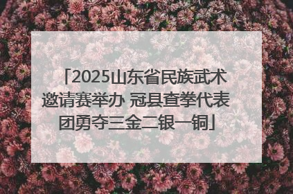 2025山东省民族武术邀请赛举办 冠县查拳代表团勇夺三金二银一铜