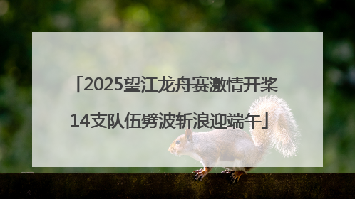 2025望江龙舟赛激情开桨 14支队伍劈波斩浪迎端午