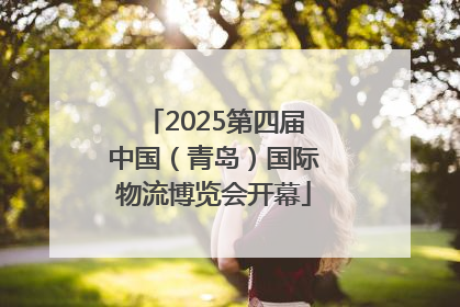 2025第四届中国（青岛）国际物流博览会开幕