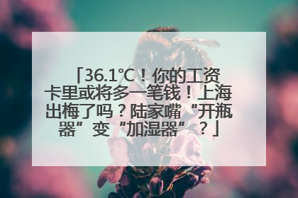 36.1℃！你的工资卡里或将多一笔钱！上海出梅了吗？陆家嘴“开瓶器”变“加湿器”？