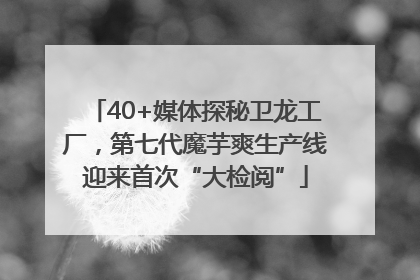 40+媒体探秘卫龙工厂,第七代魔芋爽生产线迎来首次“大检阅”
