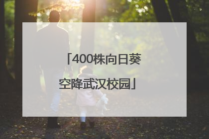 400株向日葵空降武汉校园