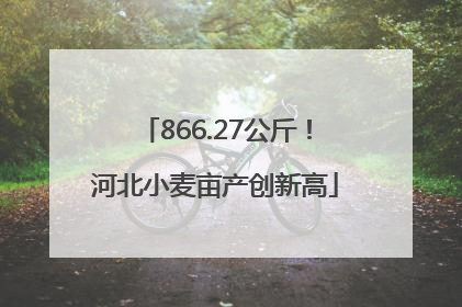866.27公斤！河北小麦亩产创新高