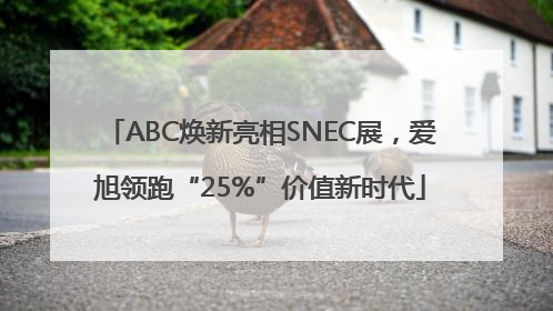 ABC焕新亮相SNEC展，爱旭领跑“25%”价值新时代
