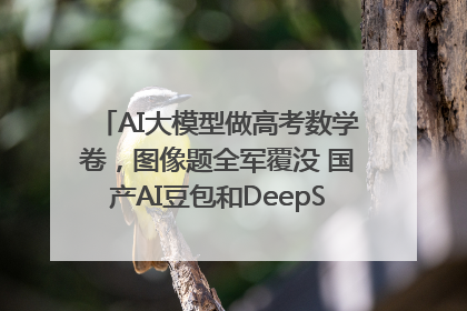 AI大模型做高考数学卷，图像题全军覆没 国产AI豆包和DeepSeek均得分144
